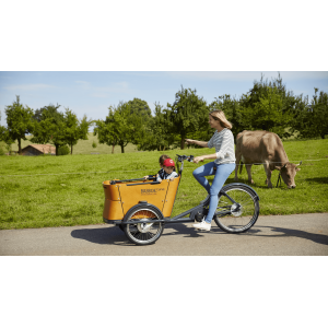 Vélo cargo électrique Babboe Curve-e