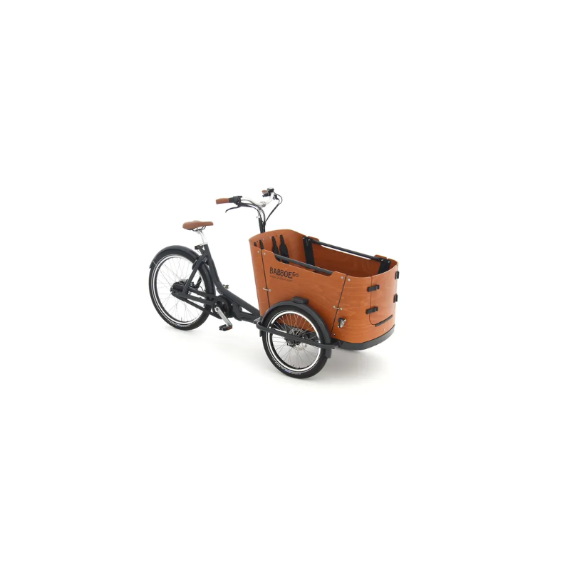 Vélo cargo électrique Babboe Go-Mountain