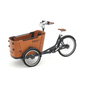 Vélo cargo électrique Babboe Go-Mountain