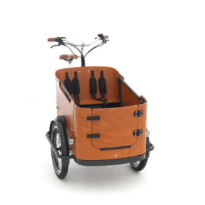 Vélo cargo électrique Babboe Go-Mountain