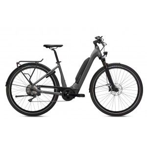 Flyer ebike sales 2020