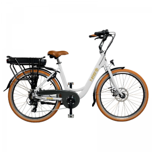 Vélo électrique T-Bird Miami