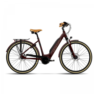 Citibike La Rochelle
