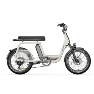 Vélo électrique Elwing Ritmic Duo