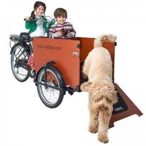 Vélo cargo électrique Babboe Dog