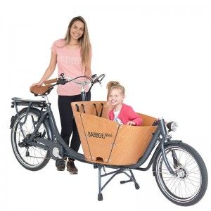 BIPORTEUR ELECTRIQUE : Modèle BABBOE MINI E - 2449€