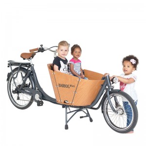 BIPORTEUR ELECTRIQUE : Modèle BABBOE MINI E - 2449€