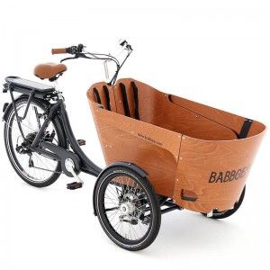 TRIPORTEUR ELECTRIQUE : Modèle BABBOE CARVE E - 3599€