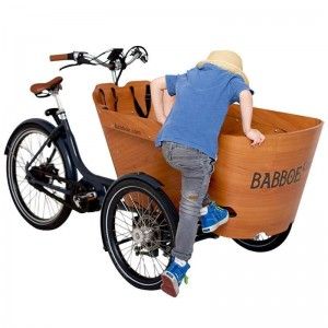 TRIPORTEUR ELECTRIQUE : Modèle BABBOE CARVE MOUNTAIN - 4699€