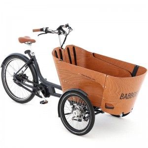 TRIPORTEUR ELECTRIQUE : Modèle BABBOE CARVE MOUNTAIN - 4699€