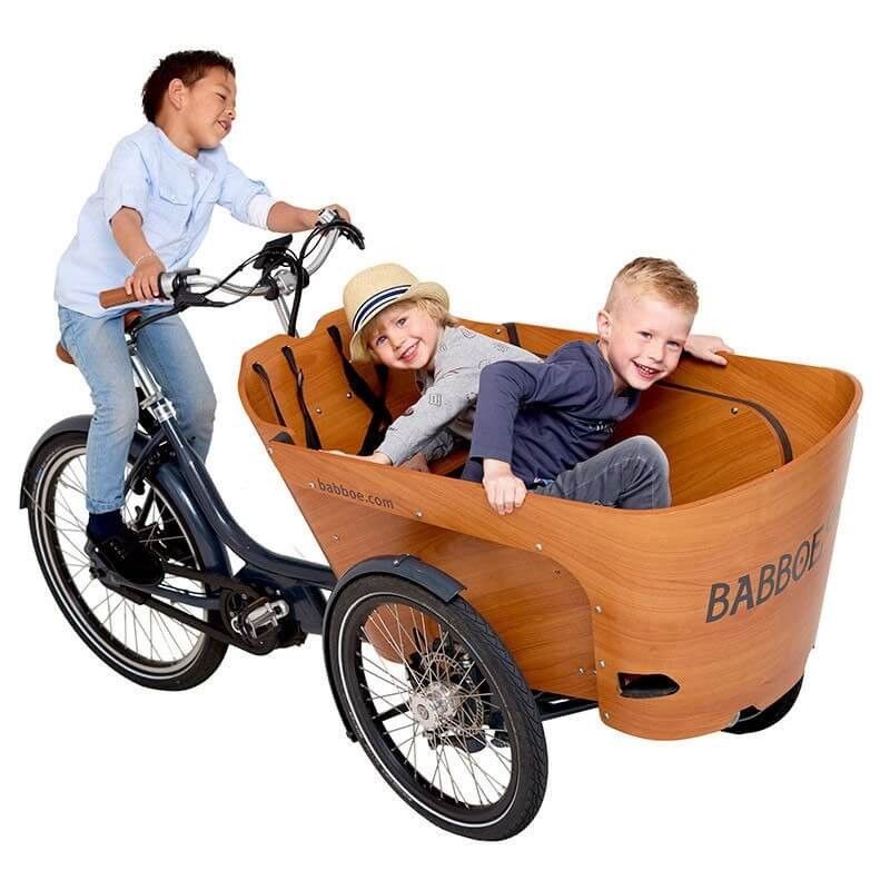 TRIPORTEUR ELECTRIQUE : Modèle BABBOE CARVE MOUNTAIN - 4699€