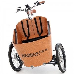 TRIPORTEUR ELECTRIQUE : Modèle BABBOE CARVE MOUNTAIN - 4699€