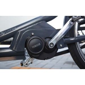 Crago électrique professionnel Babboe Pro Trike XL