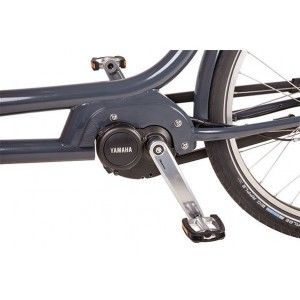 BIPORTEUR ELECTRIQUE BABBOE SLIM MOUNTAIN