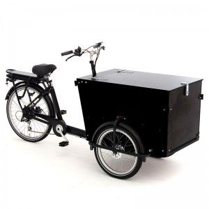 Vélo cargo professionnel Babboe Pro Trike-e