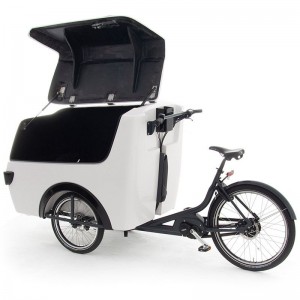 Crago électrique professionnel Babboe Pro Trike XL