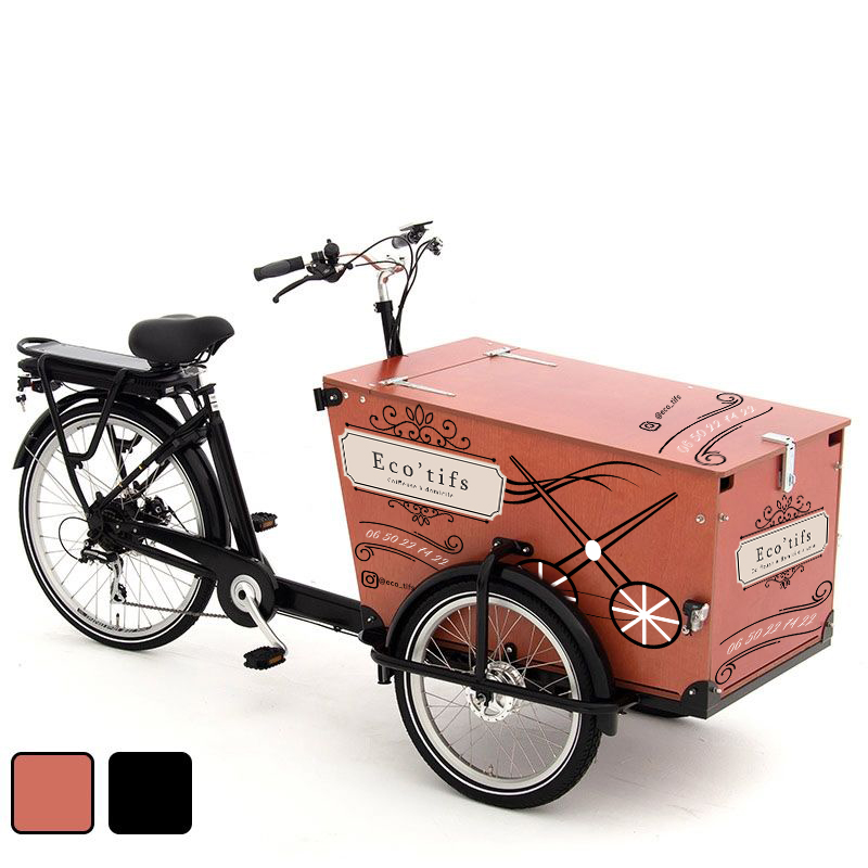 velo triporteur electrique