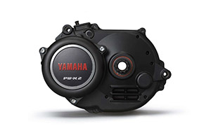 Yamaha PW X2.jpg