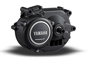 Yamaha PW ST.jpg