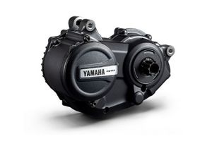 Yamaha PW X3.jpg