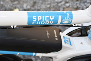 Yuba Spicy Curry Citibike