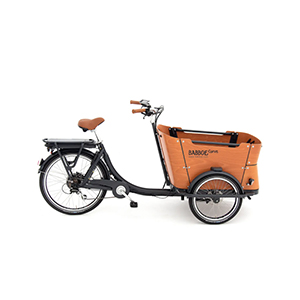 Vélo cargo électrique, Tricycle électrique, les plus grandes marques : Babboe, CyclO2, Monty bike, Cube